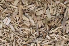 biomass boilers Benllech